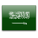 Suudi Arabistan - Pro Lig