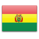 Bolivya - Copa de la División Profesional