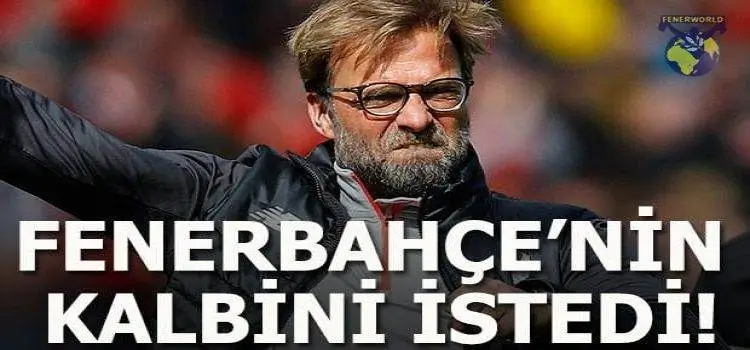 Jürgen Klopp, Fenerbahçeli futbolcunun transfer edilmesini istedi! 