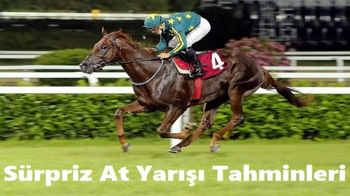 Horse Türk - At Yarışları, At Yarışı ...