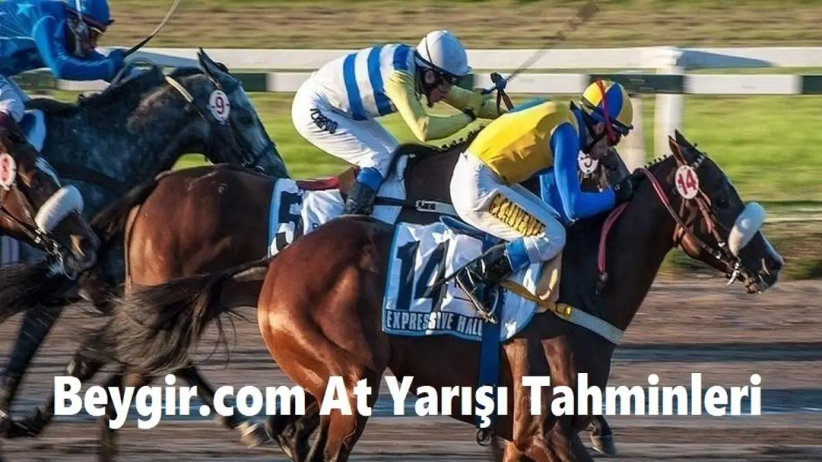 Beygir.com At Yarışı ve Banko Altılı Tahminleri 01, 02, 03 Mayıs 2025
