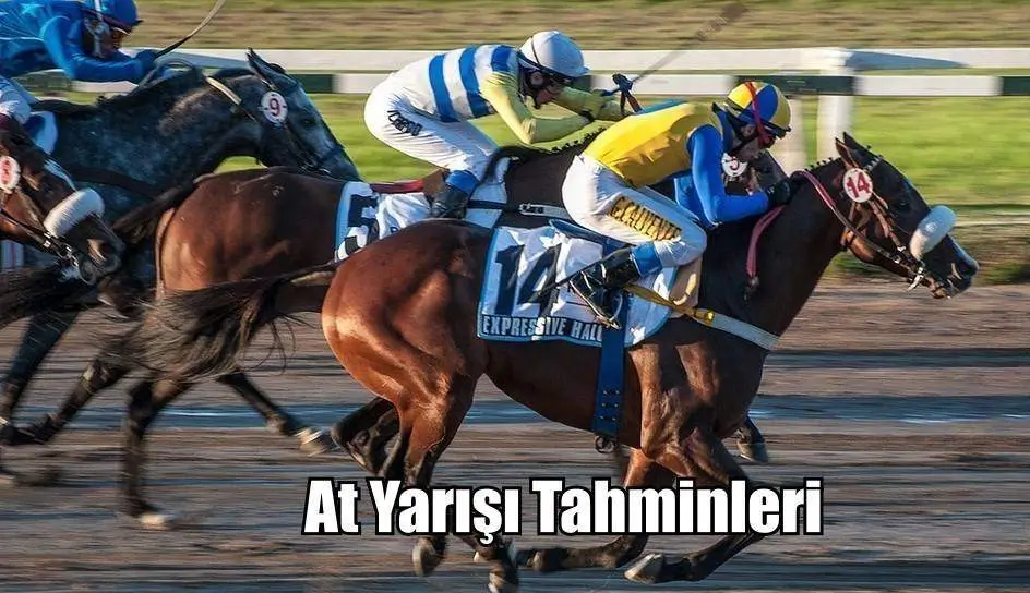 Elazığ At Yarışı Ganyan Tahminleri 01, 02, 03 Mayıs 2025 