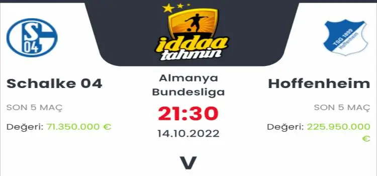 Schalke Hoffenheim İddaa Maç Tahmini 14 Ekim 2022