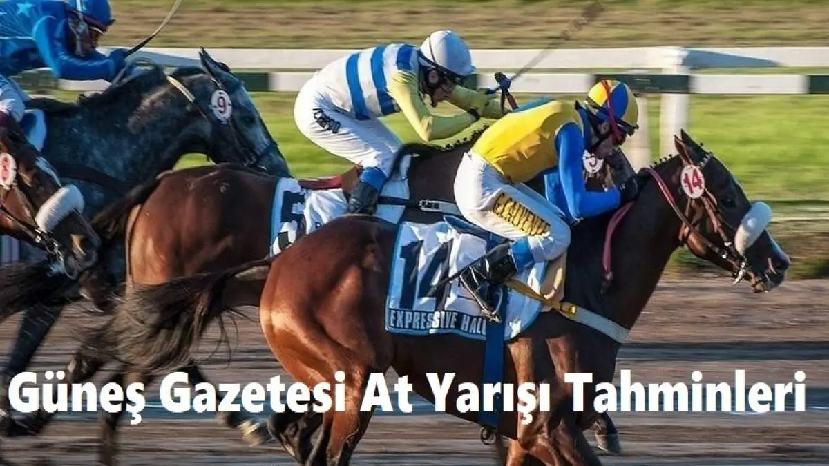 Güneş Gazetesi At Yarışı Tahminleri 01, 02, 03 Mayıs 2025