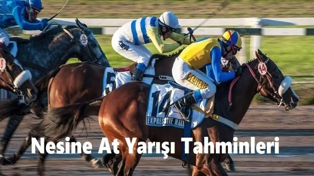 Nesine Altılı At Yarışı Tahminleri 01, 02, 03 Mayıs 2025