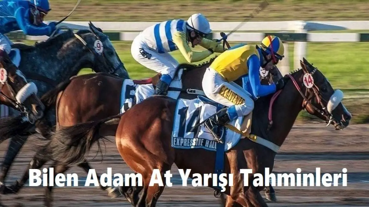 Bilen Adam Altılı At Yarışı Tahminleri 01, 02, 03 Mayıs 2025