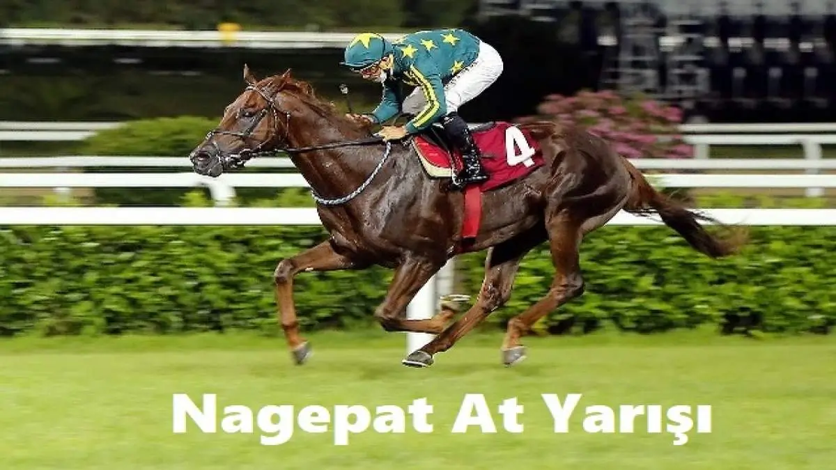 Nagepat At Yarışı ve Altılı Tahminleri: Günün Nagepat Banko Kuponu