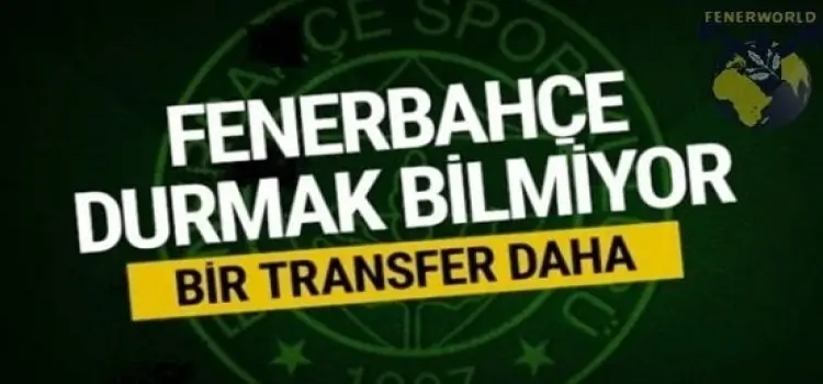 Fenerbahçe durmak bilmiyor! Bir transfer daha...