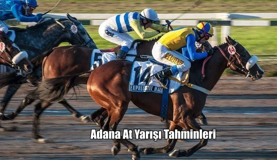 Adana Altılısı ve At Yarışı Ganyan Tahminleri 31, 01, 02 Nisan 2023 