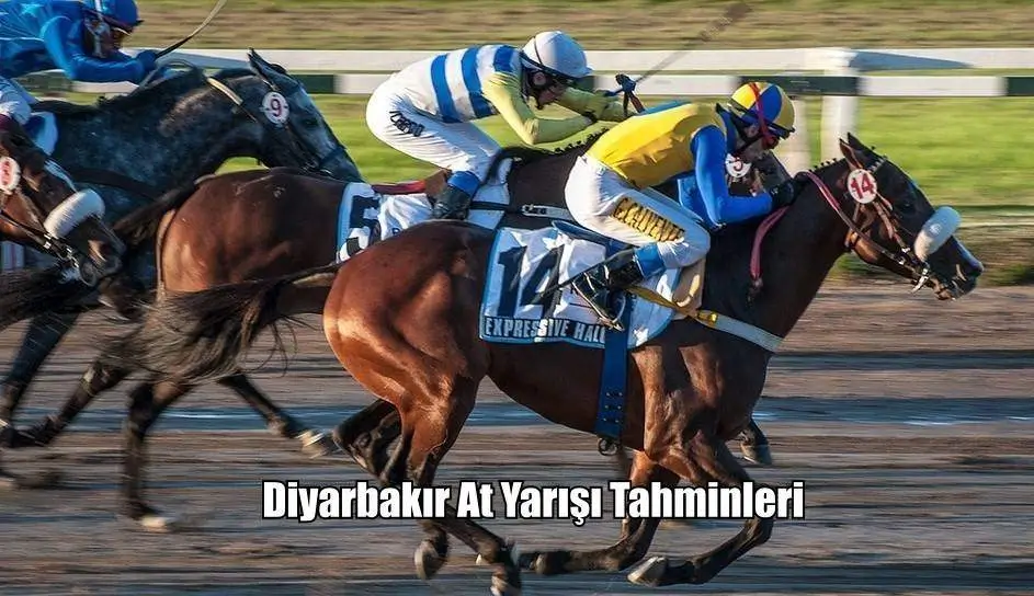Diyarbakır Altılısı ve At Yarışı Ganyan Tahminleri 01, 02, 03 Mayıs 2025 