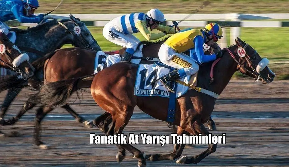 Fanatik At Yarışı Tahminleri 01, 02, 03 Mayıs 2025