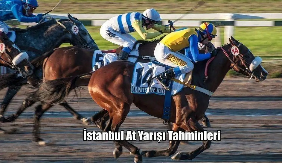 İstanbul Altılısı ve At Yarışı Ganyan Tahminleri 01, 02, 03 Mayıs 2025 