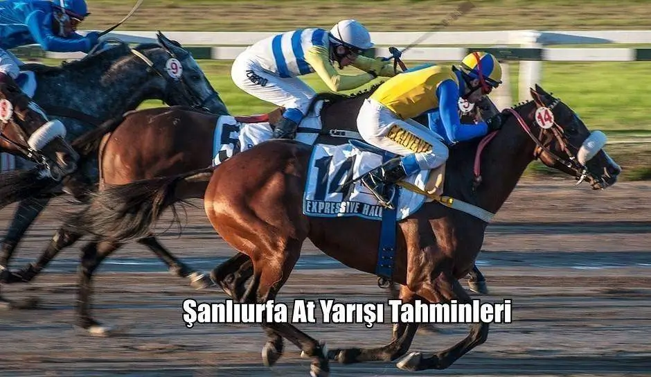 Şanlıurfa Altılısı ve At Yarışı Ganyan Tahminleri 29, 30, 31 Mart 2024 