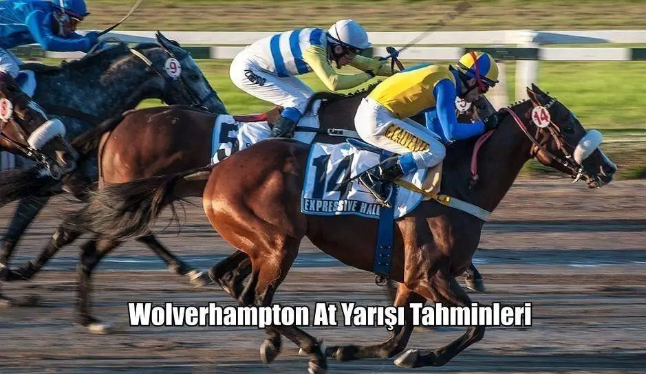 Wolverhampton Altılısı ve At Yarışı Ganyan Tahminleri 29, 30, 31 Mart 2024 